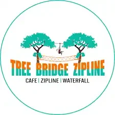 Tree Bridge Zipline