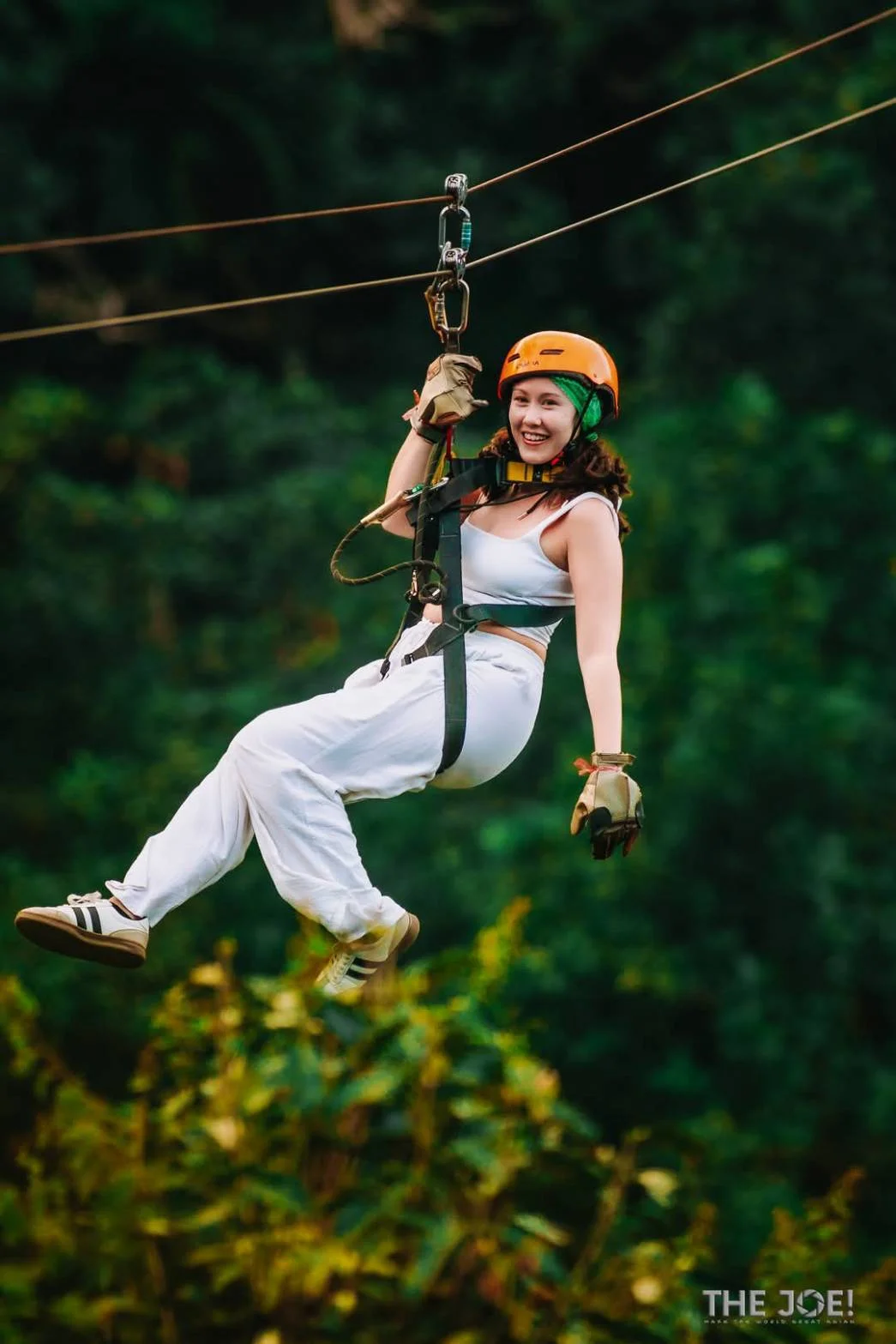 Tree Bridge Zipline