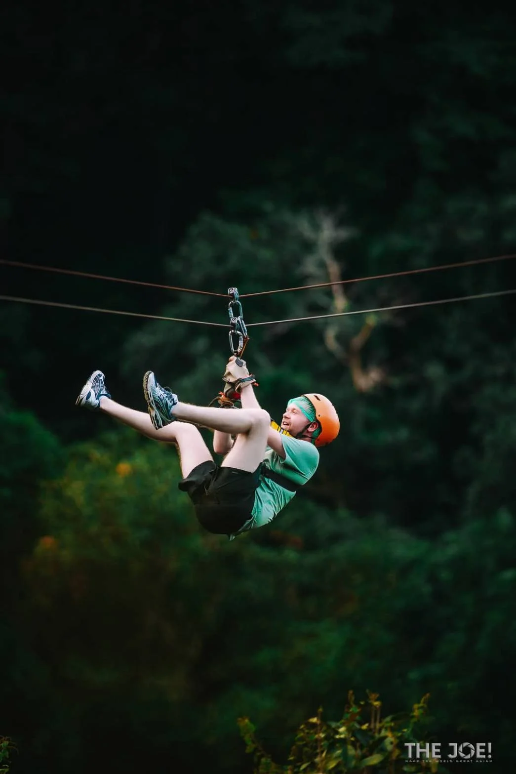 Tree Bridge Zipline