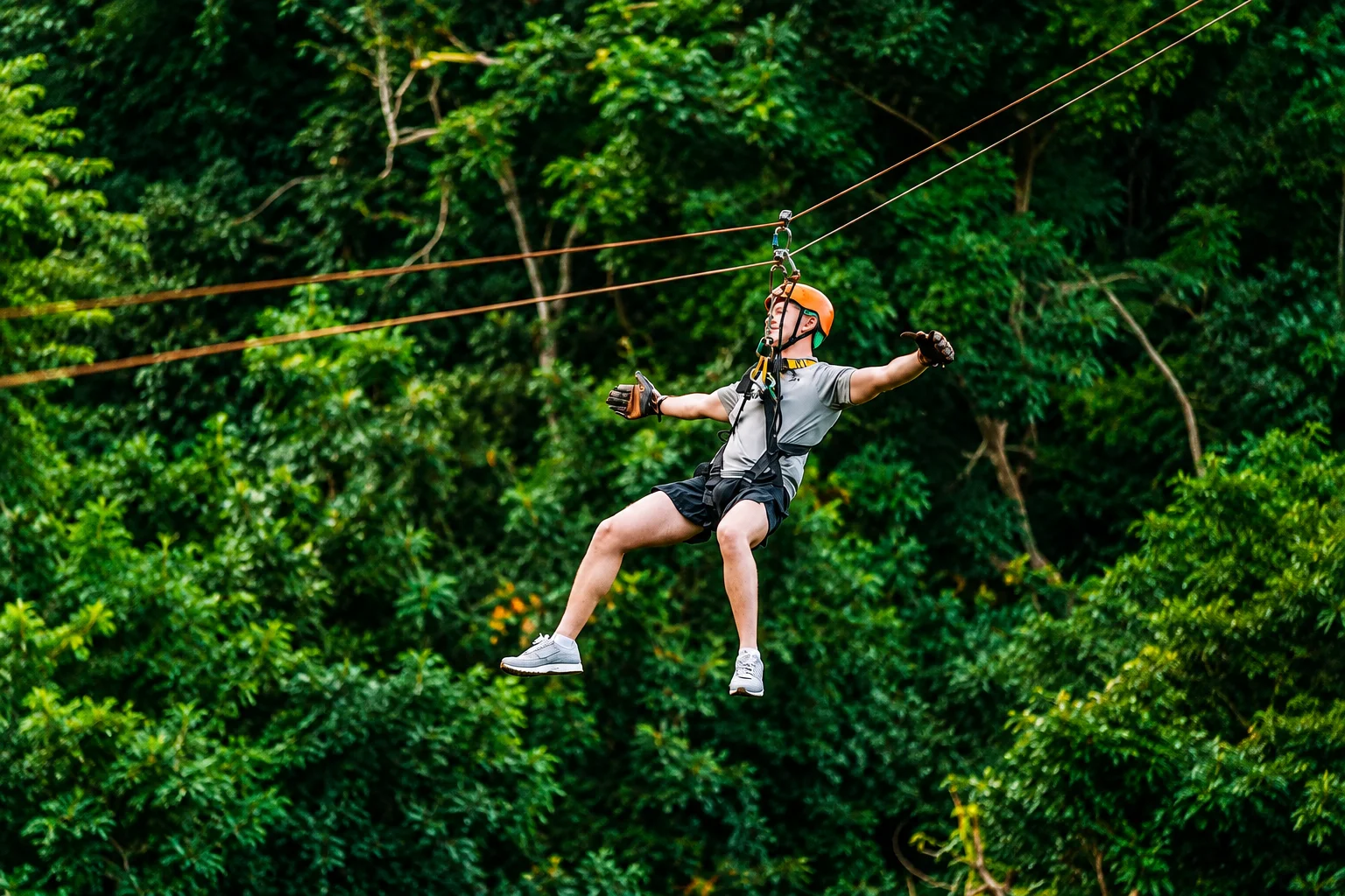 Tree Bridge Zipline adventure in Koh Samui