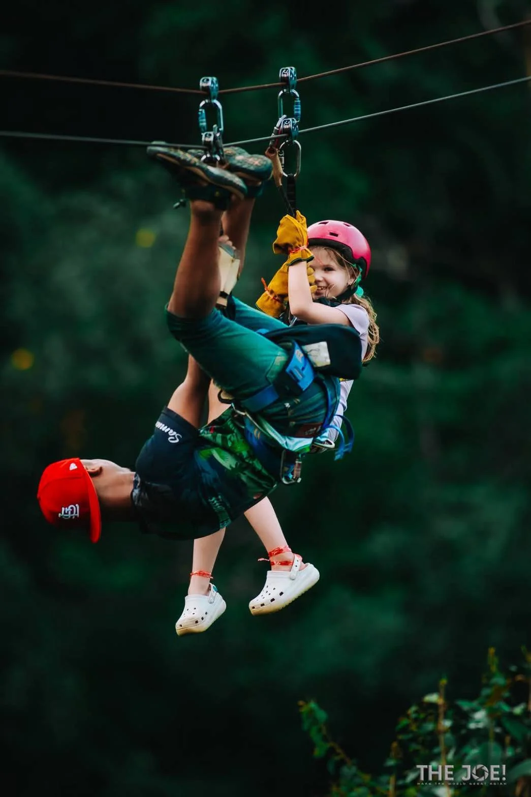 Tree Bridge Zipline