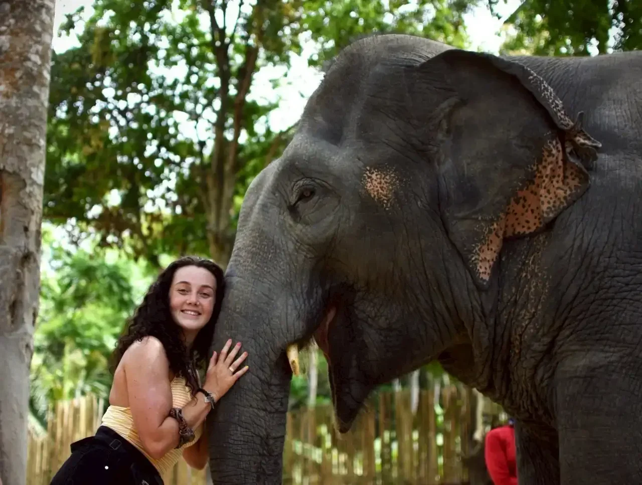 Elephant Jungle Sanctuary Koh Samui