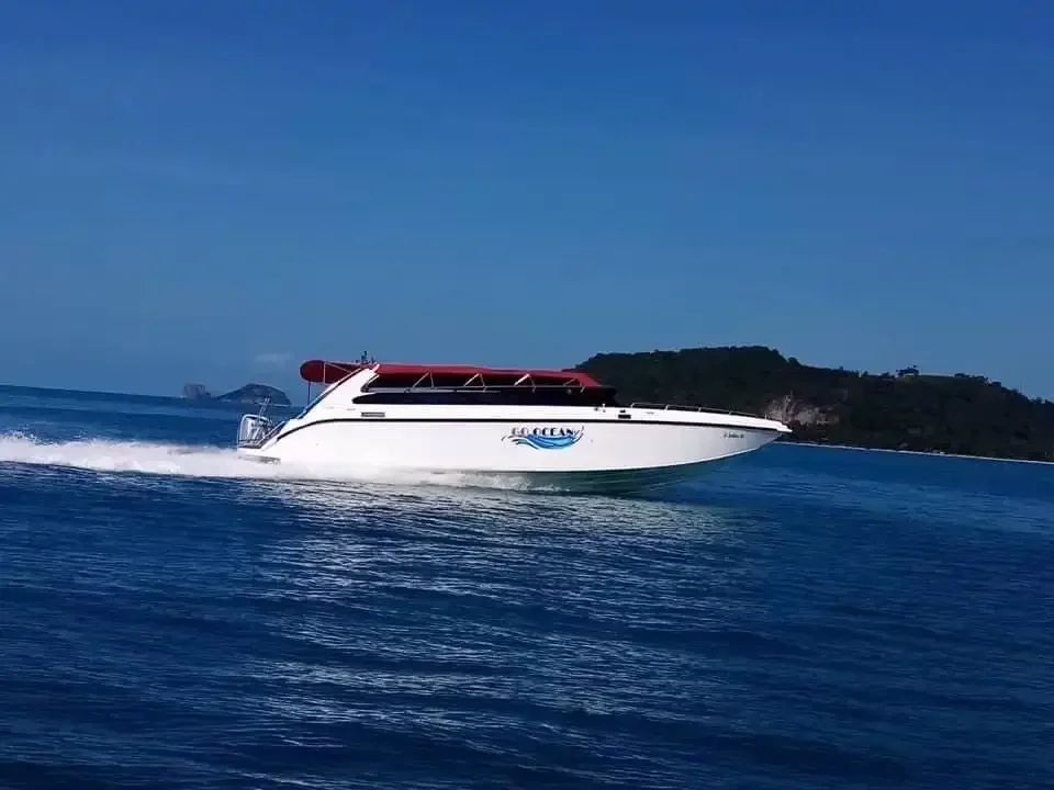 Pink Dolphin Watching, Koh Tan & Pig Island by Speedboat adventure in Koh Samui