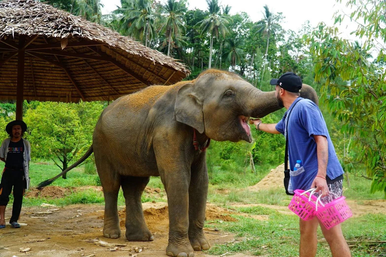 Elephant Adventure by Major Safari experience in Koh Samui