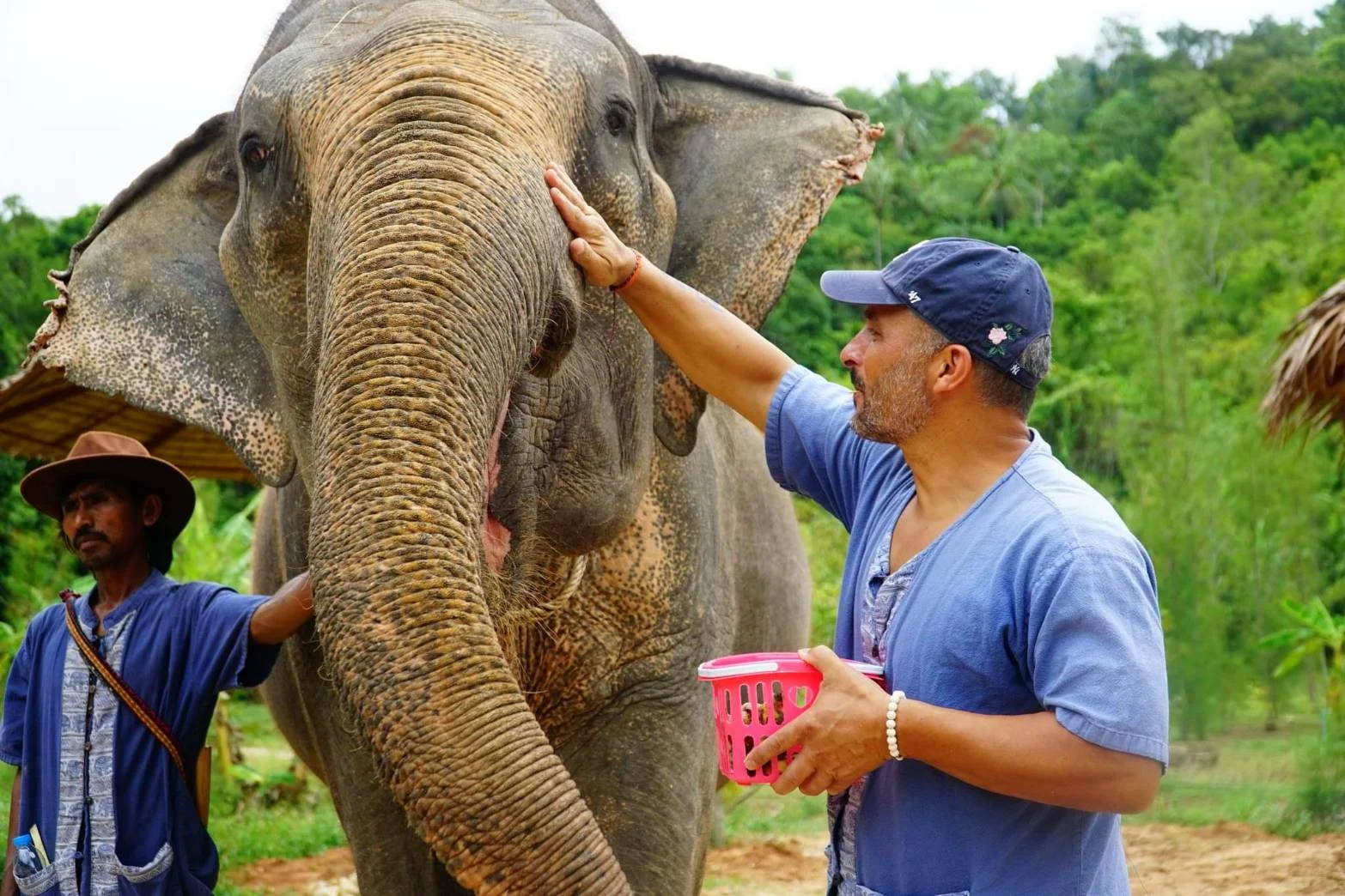 Elephant Adventure by Major Safari adventure in Koh Samui