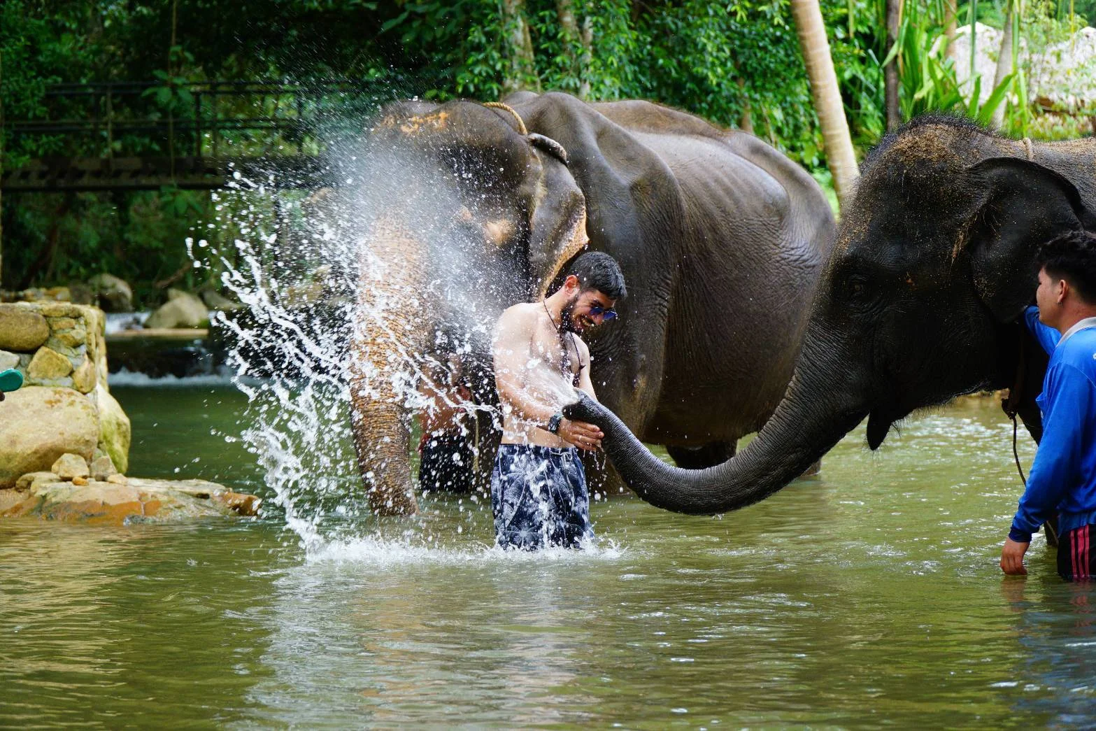 Samui Elephant Spa in Koh Samui