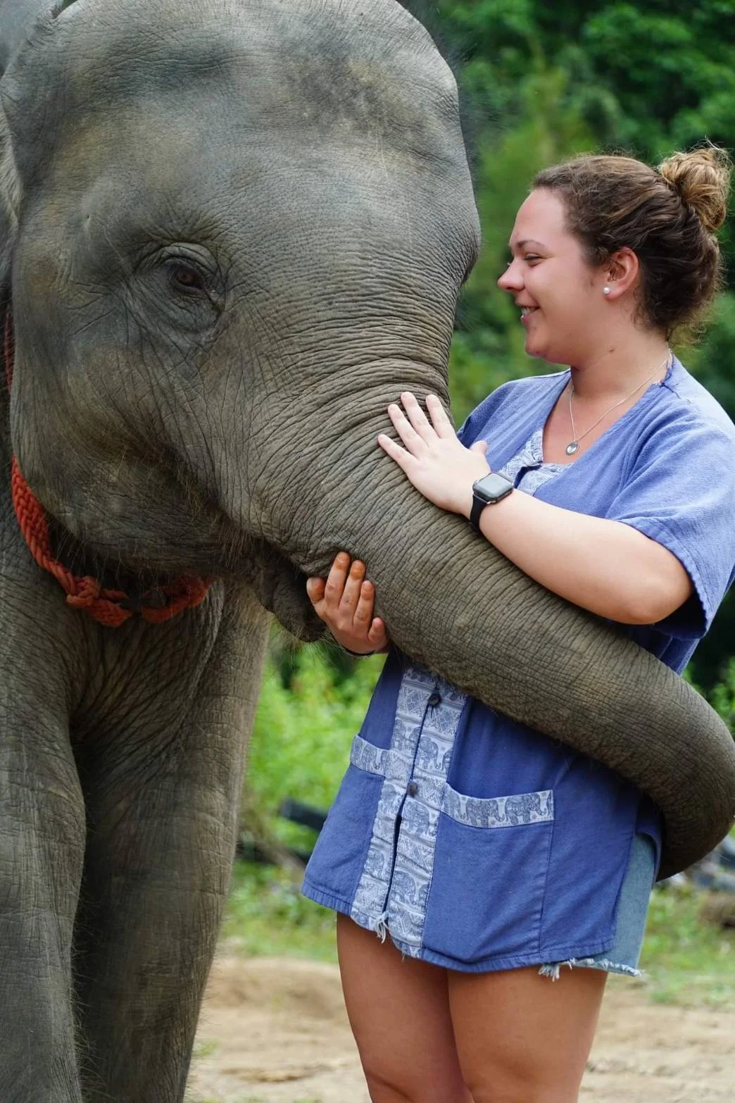 Samui Elephant Spa in Koh Samui
