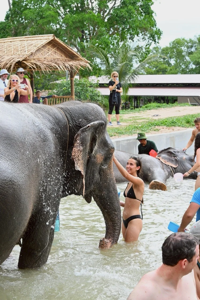 Elephant Feed & Shower adventure in Koh Samui