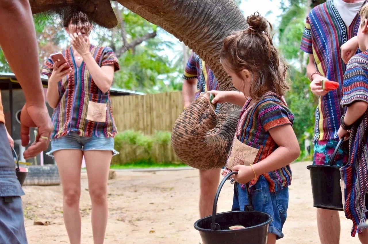 Elephant Feed & Shower in Koh Samui
