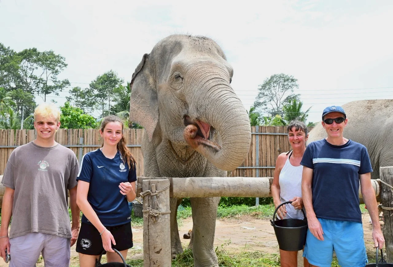 Elephant Feed & Shower adventure in Koh Samui