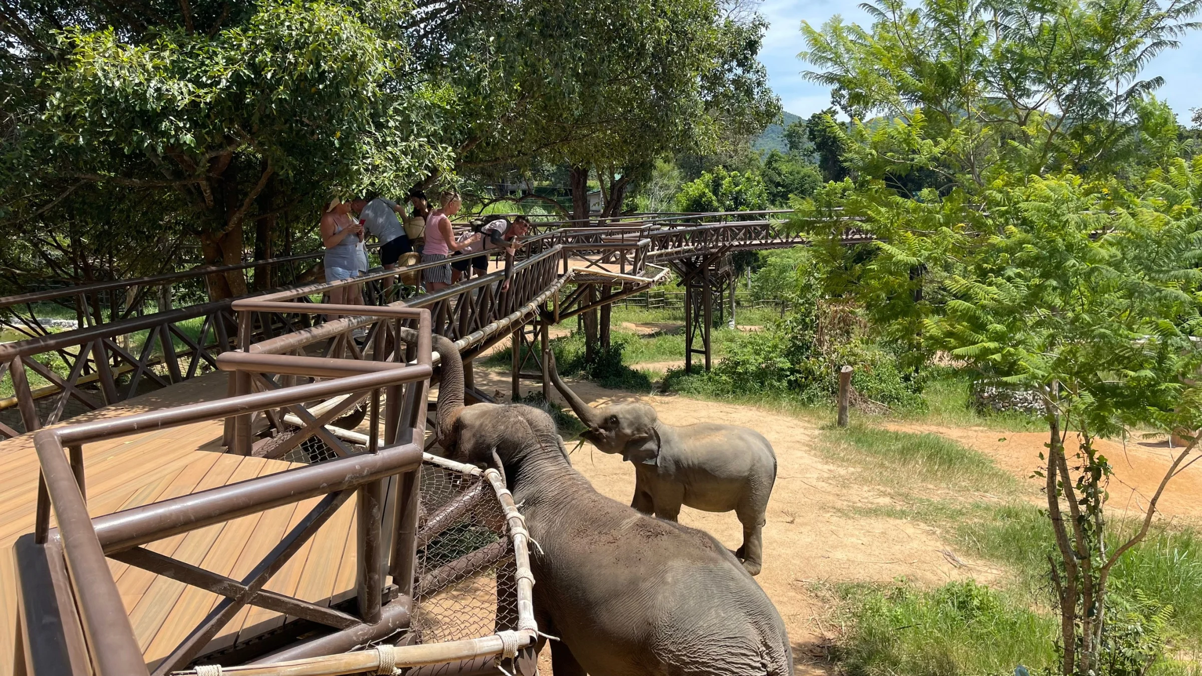 Elephant Kingdom Koh Samui