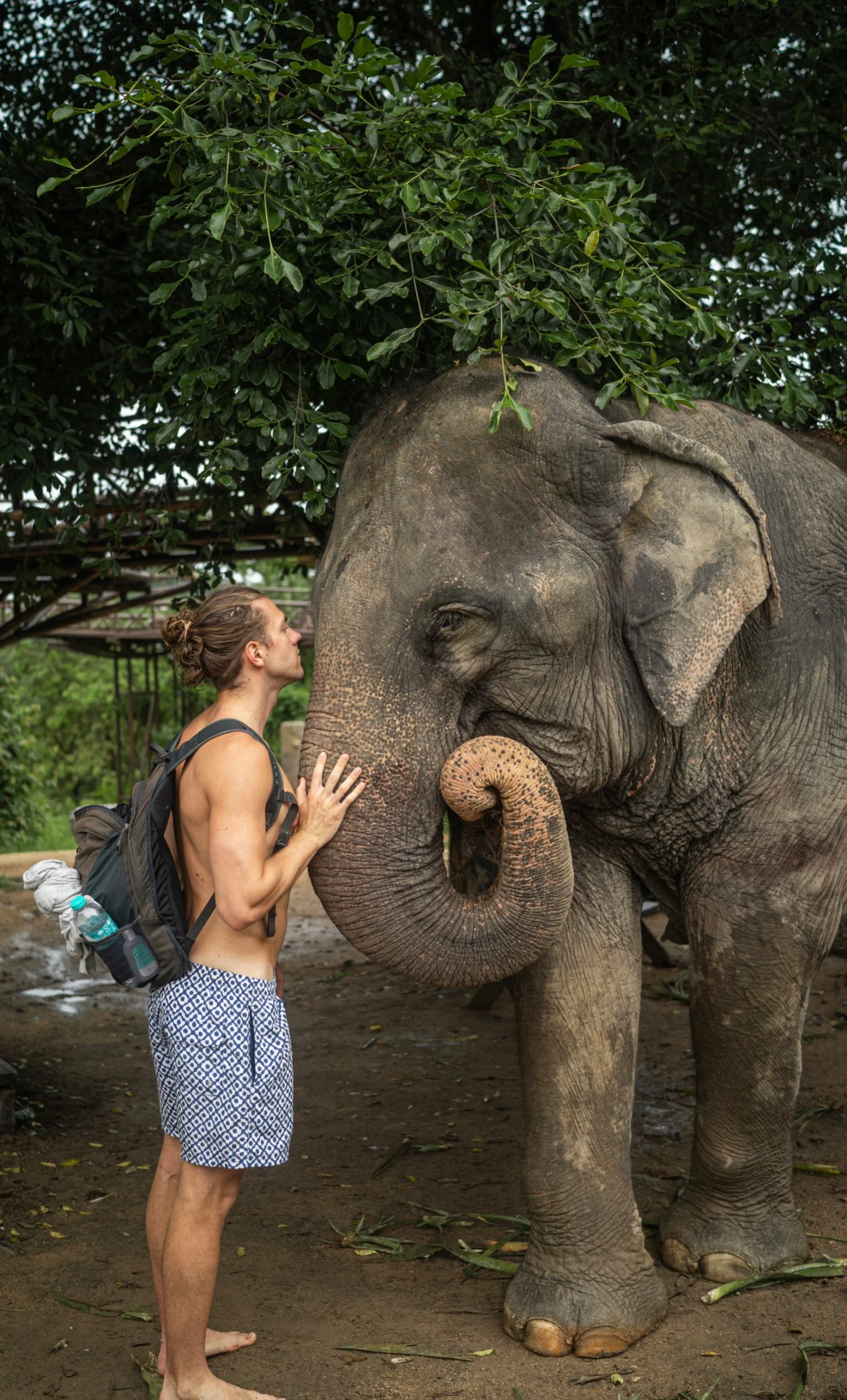 Elephant Kingdom Koh Samui