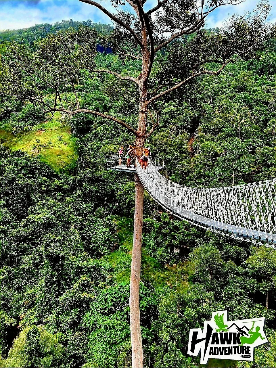 Hawk Adventure Zipline Samui adventure in Koh Samui