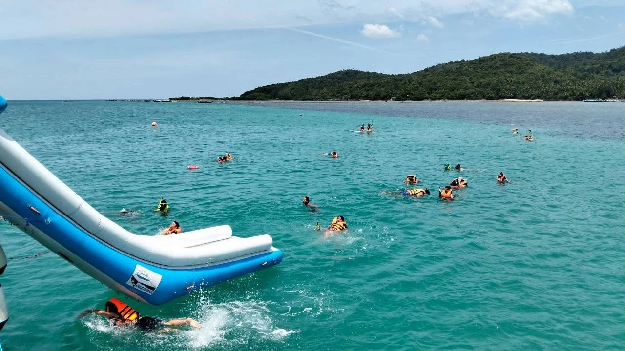 Ocean King Catamaran to Pig Island adventure in Koh Samui