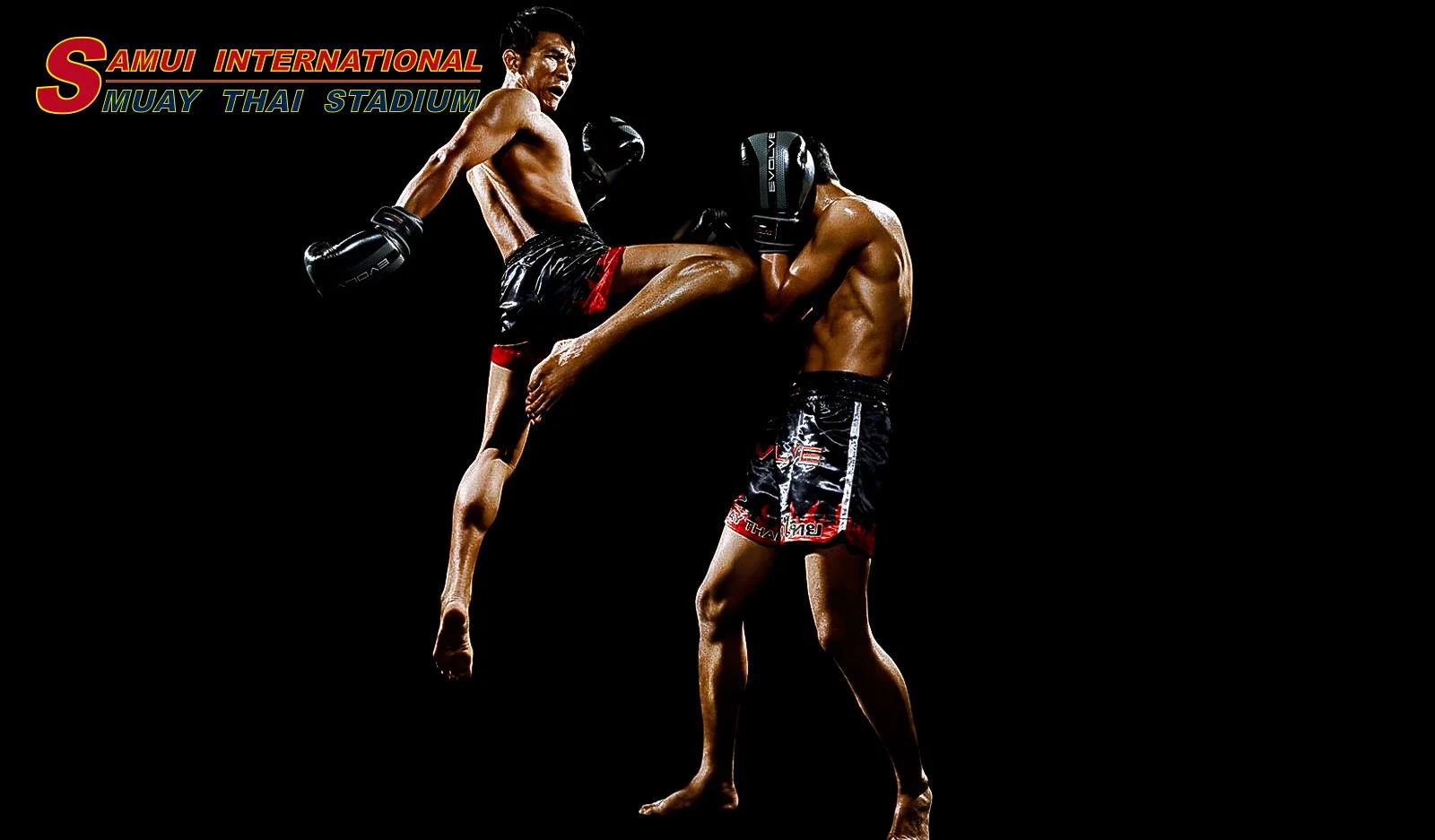 Samui International Thai Boxing Stadium in Koh Samui