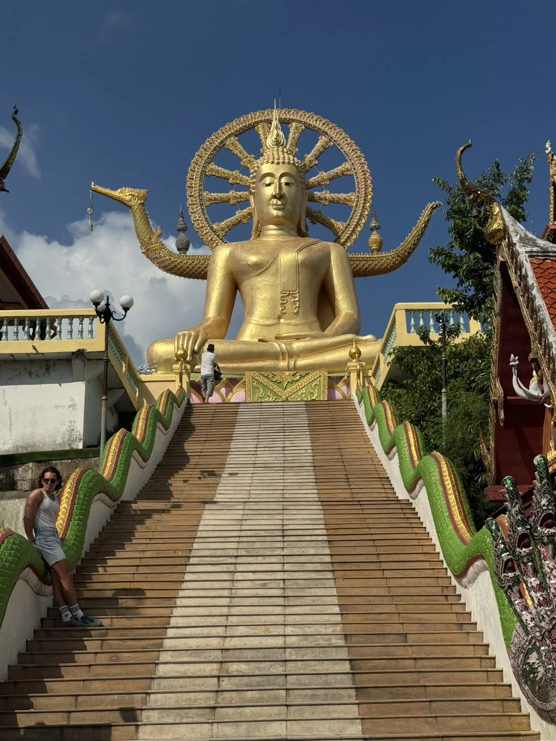 Private Van and Driver Around Koh Samui adventure