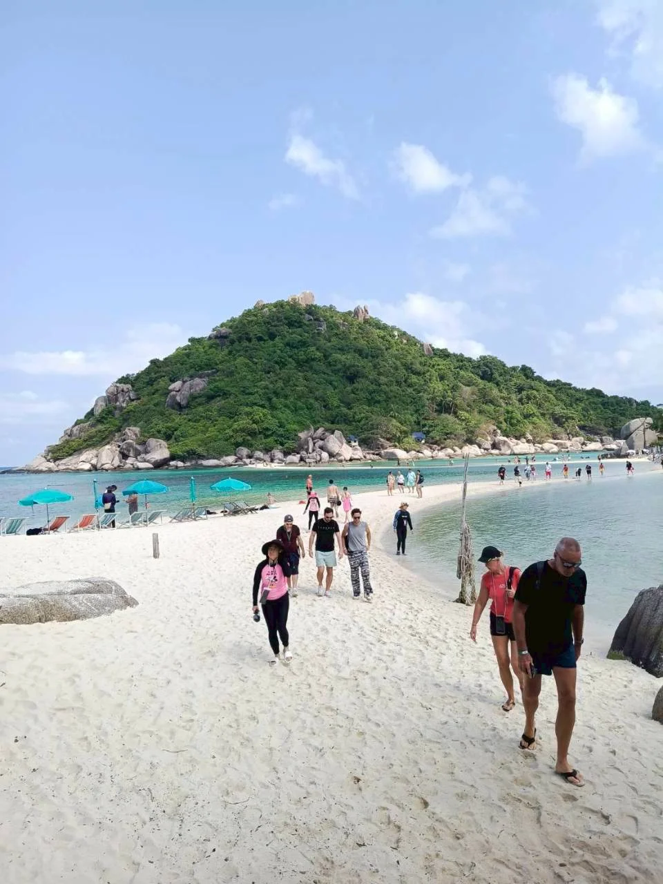 Koh Tao & Koh Nang Yuan Speedboat Tour in Koh Samui