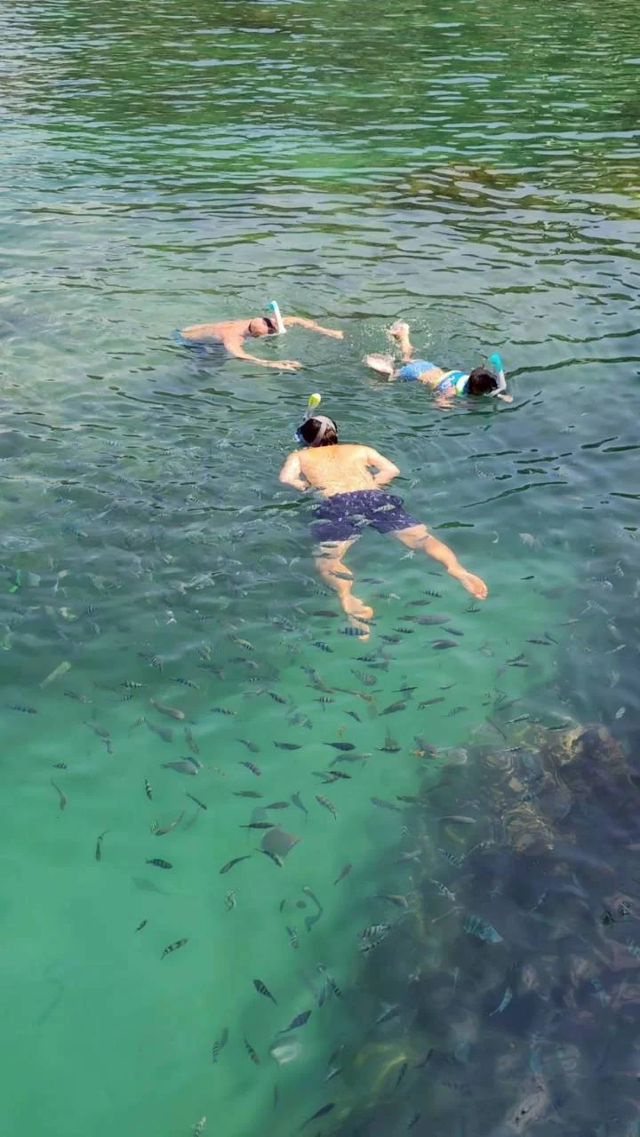 Koh Tao & Koh Nang Yuan Speedboat Tour adventure in Koh Samui