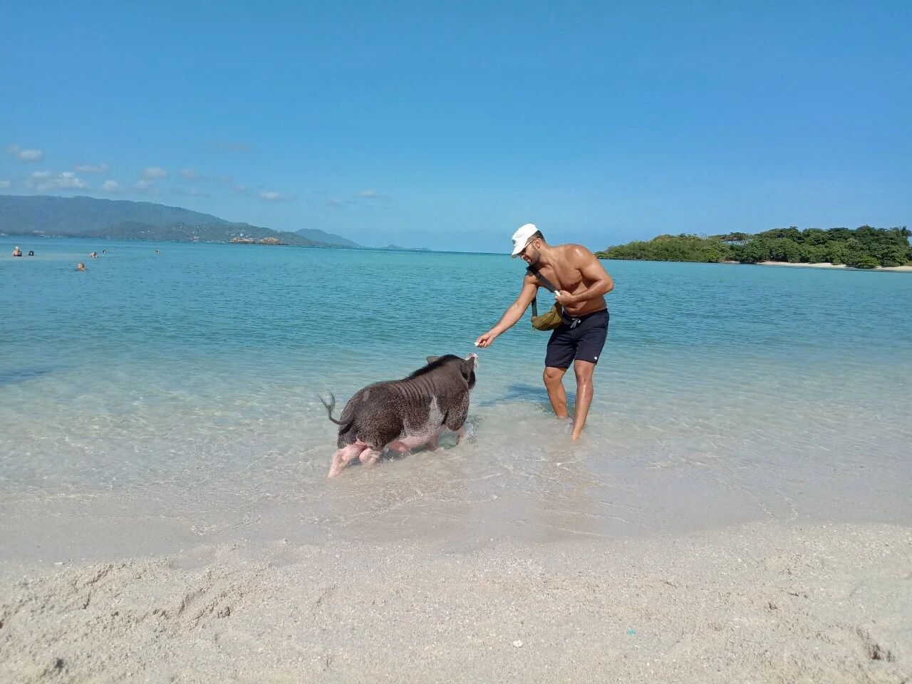 Pig Island & Koh Tan Speedboat Tour adventure in Koh Samui