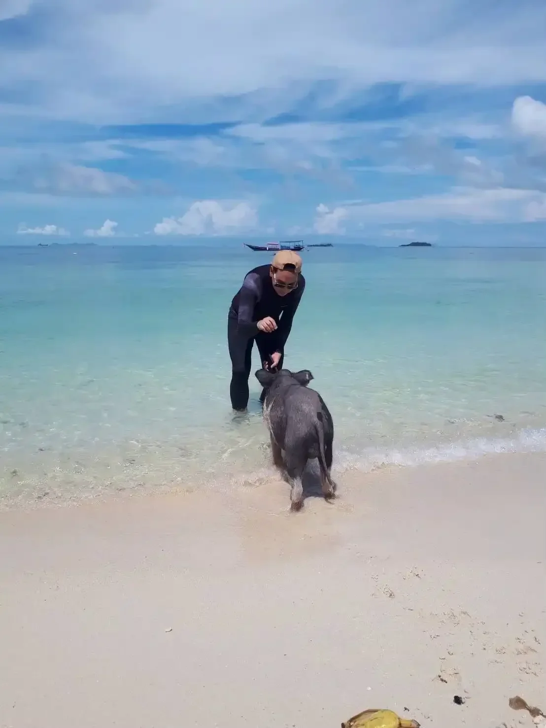 Pig Island & Koh Tan Speedboat Tour experience in Koh Samui