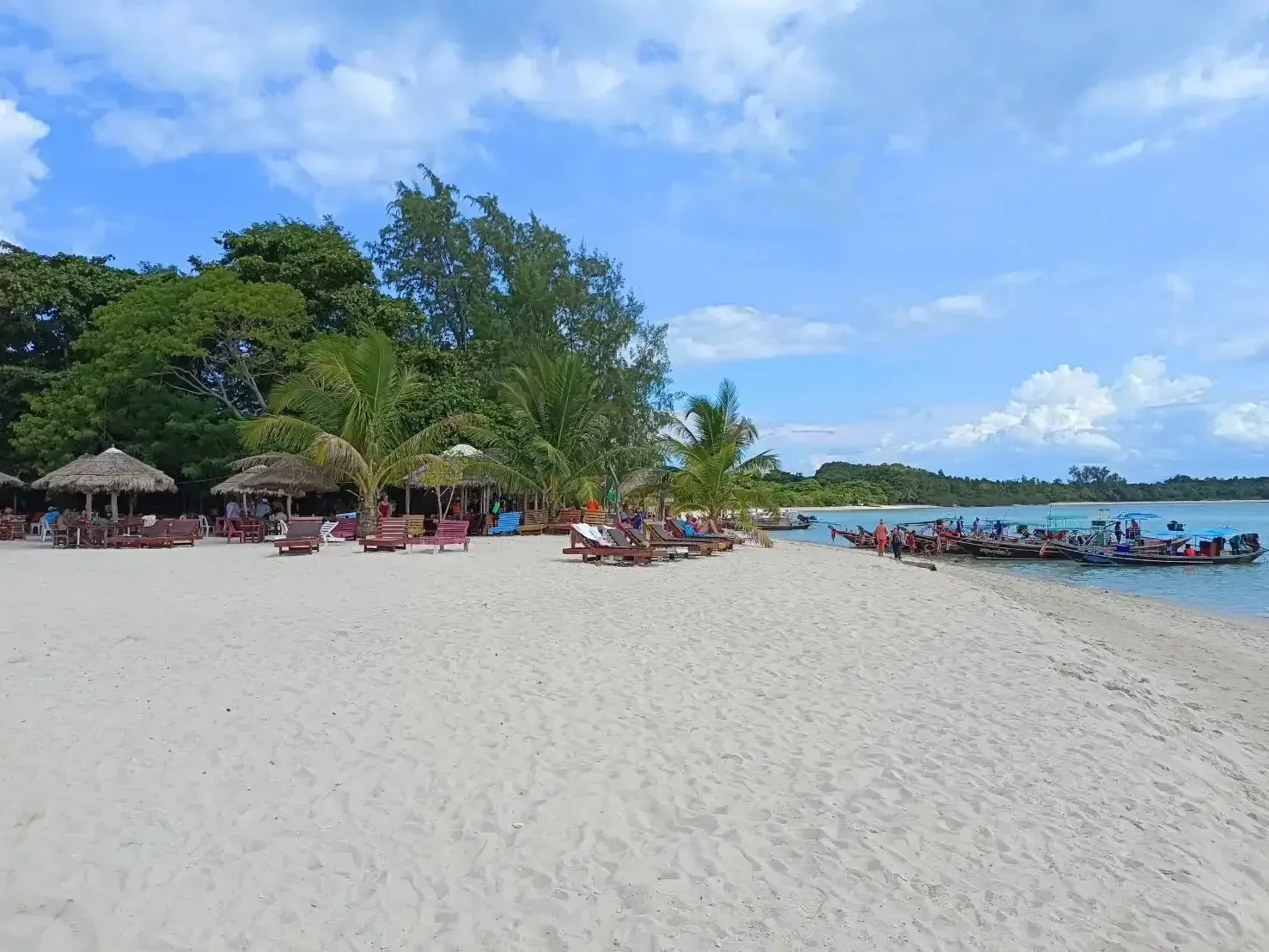 Private Longtail Boat to Pig Island & Koh Tan experience in Koh Samui